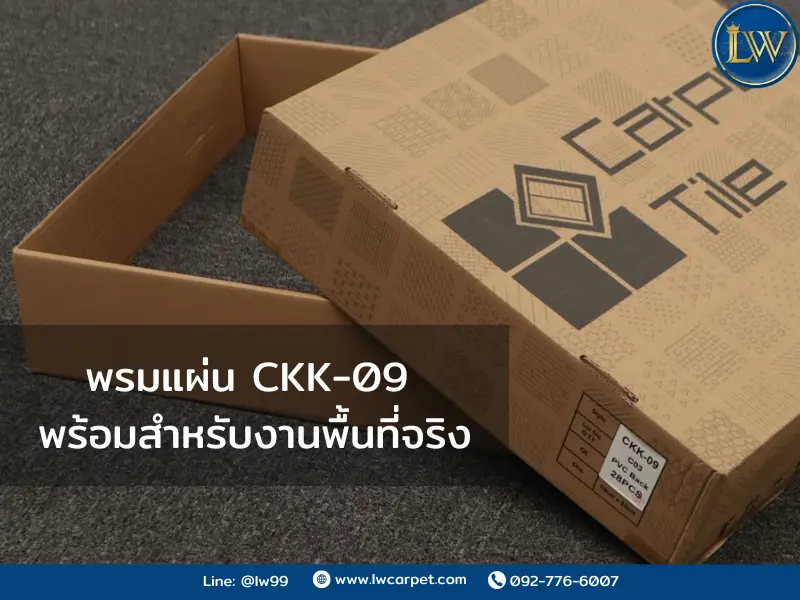 กล่องพรมแผ่น รุ่น CKK-09 Silver Gray สำหรับงานพื้นที่ภายใน