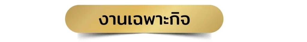 พรมปูพื้นงานเฉพาะกิจ