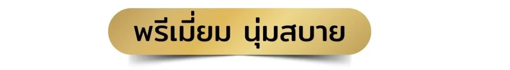 พรมปูพื้นพรีเมี่ยม